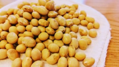 更年期の不調に「大豆」レシピと薬膳効能